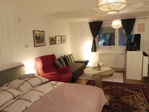 Studio in Altstadthaus Apartment in Carinthia, Austria