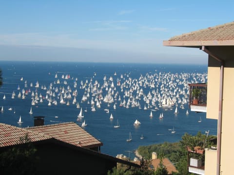 Sea view