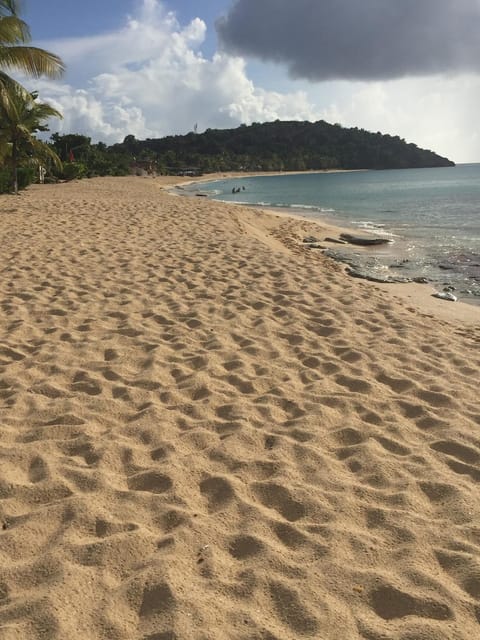 Nearby landmark, Natural landscape, Beach