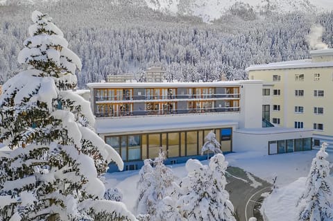 Property building, Natural landscape, Winter