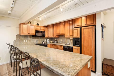 Cottonwoods 1-D House in Aspen