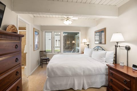 Cottonwoods 1-D House in Aspen