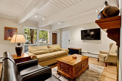 Cottonwoods 1-D House in Aspen