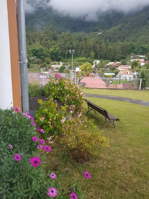 Le pti colibri d Olivier Casa in Réunion