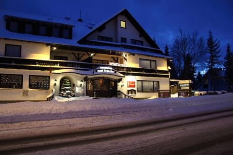 Hotel Schneider Hotel in Winterberg
