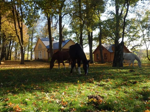 Horse-riding