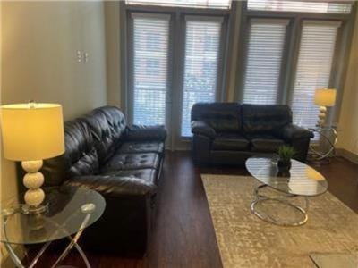Gorgeous Furnished Apartments near Texas Medical Center & NRG Stadium Copropriété in Houston
