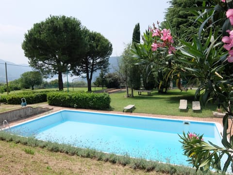 Garden, Swimming pool