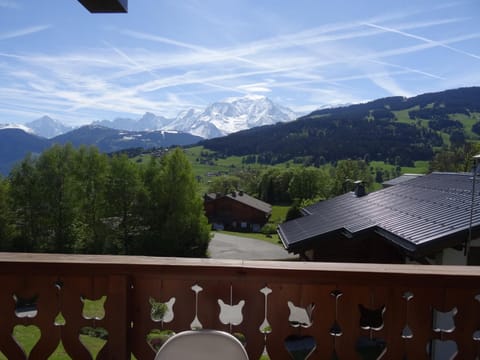 Grand Duplex 110m² 3 Chambres avec Balcon & Terrasse - FR-1-560-3 Apartment in Combloux