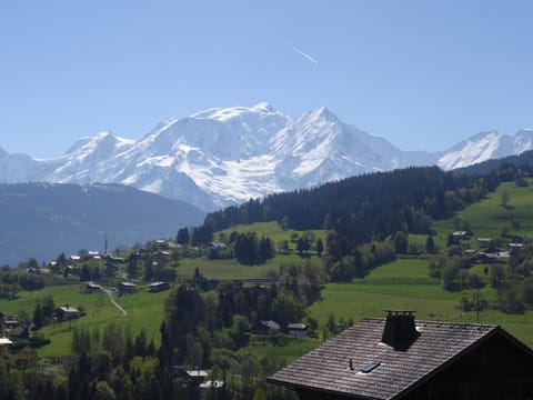 Charmant 2 pièces au centre de Combloux avec vue Mont Blanc - FR-1-560-9 Apartment in Combloux