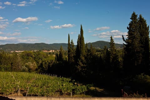 View (from property/room), On site, Garden view, Landmark view, Mountain view