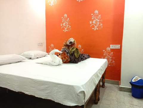 Hotel Royal Pinkcity Hostel in Jaipur