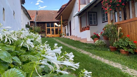 Casa Kelemen Irén Bed and Breakfast in Cluj County