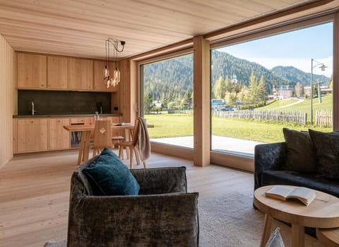 Balcony/Terrace, Kitchen or kitchenette, Living room, Mountain view