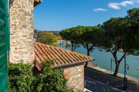 Lake view