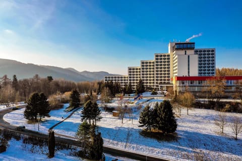 Property building, Facade/entrance, Day, Neighbourhood, Bird's eye view, Winter, Garden, Mountain view