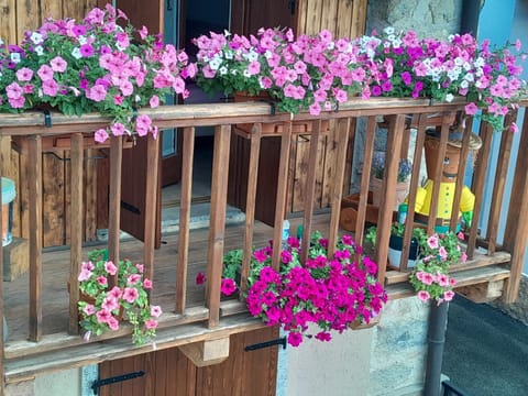 Appartamento Garda Dolomiti crocevia tra laghi e montagne Apartment in Trentino-South Tyrol