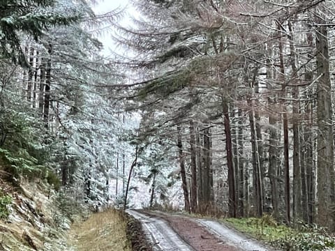 Yairbrig Holiday Chalet in England