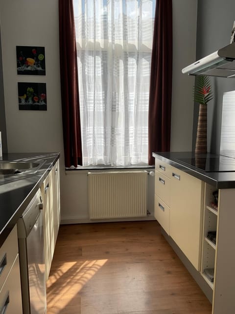 Kitchen or kitchenette, dishwasher, minibar, pet friendly, stove