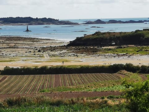 Natural landscape, Beach, Hiking, Landmark view, Sea view