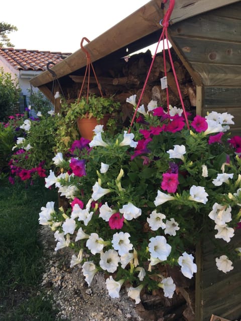 Chambres d'Hôtes d'Aliénor Übernachtung mit Frühstück in Soulac-sur-Mer