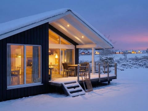 Winter, Garden view