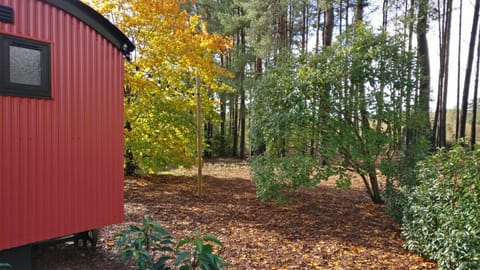 Forest Heath Shepherd's Huts House in East Dorset District