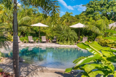 Garden, Pool view, Swimming pool, sunbed