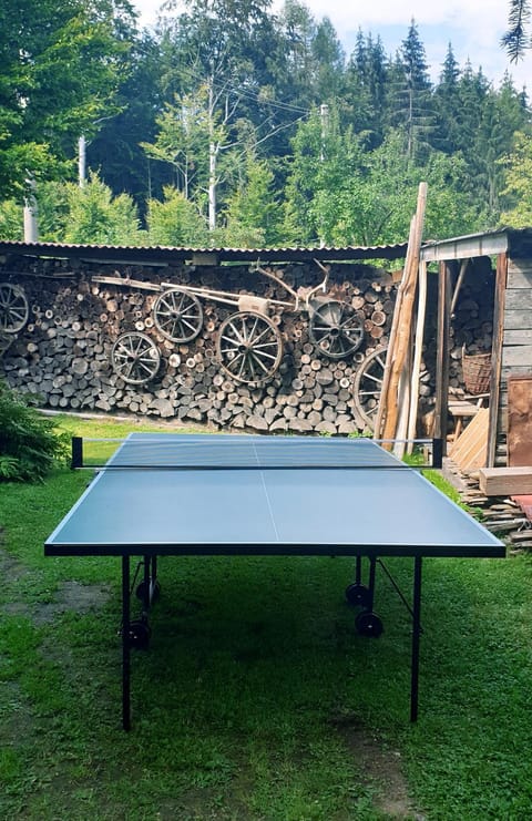 Activities, Table tennis