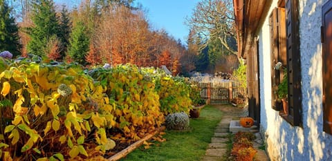 Natural landscape, Garden, Garden view