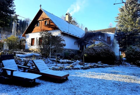 Property building, Winter, Garden