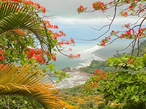 Natural landscape, Beach, Mountain view, Sea view