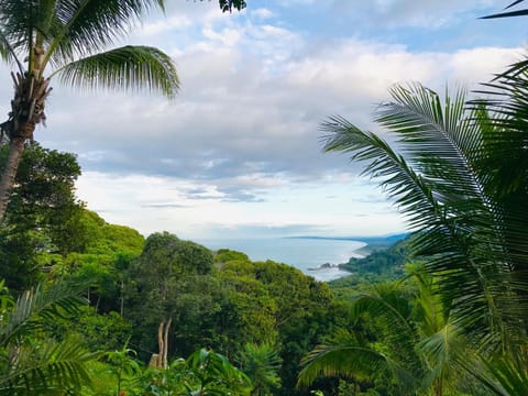 Property building, Landmark view, Sea view