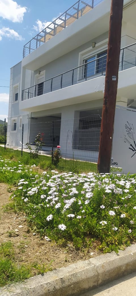 Alykes Volos House in Magnesia Prefecture, Greece