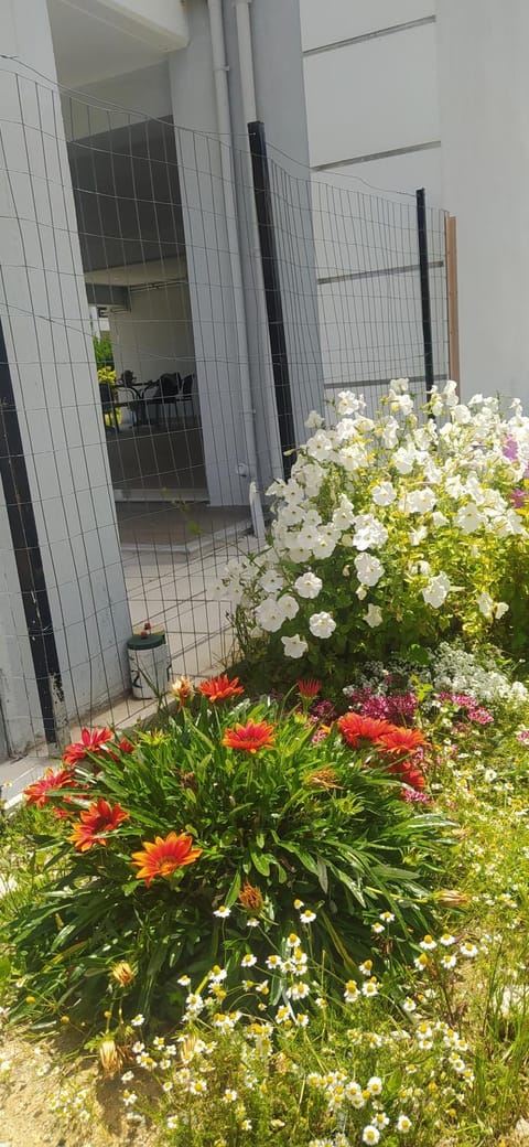 Alykes Volos House in Magnesia Prefecture, Greece