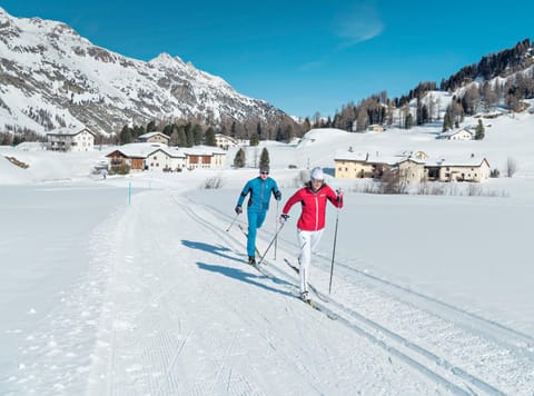 Day, Natural landscape, Activities, Winter, Area and facilities