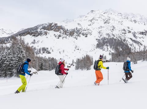 Day, Activities, Winter, Hiking