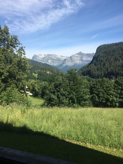 Vallée de Chamonix au pied des pistes Apartment in Les Houches
