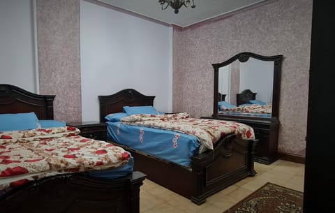 Comfy 3 Bedrooms Apartment in Cairo 87 Copropriété in Cairo Governorate