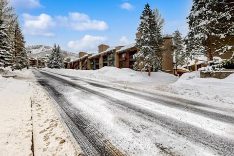 Phoenix 215 Apartment in Steamboat Springs