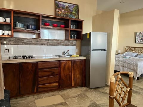 Kitchen or kitchenette, Photo of the whole room, Dining area