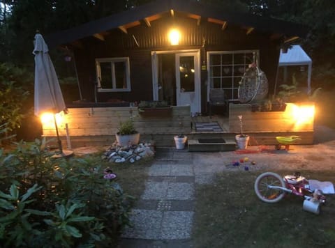 Nieuw vebouwd Vakantie Boshuisje Meibloempje House in Limburg (province)