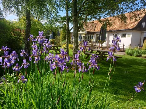 Golden Ball Hotel Inn in South Cambridgeshire District