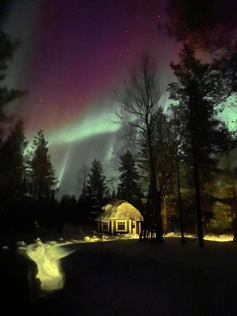 Northern Light Villa Ylläs with a Jacuzzi Chalet in Lapland