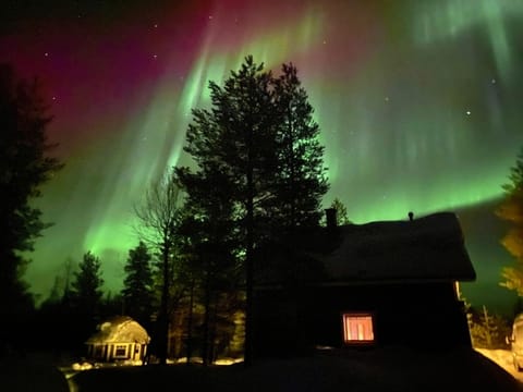 Northern Light Villa Ylläs with a Jacuzzi Chalet in Lapland