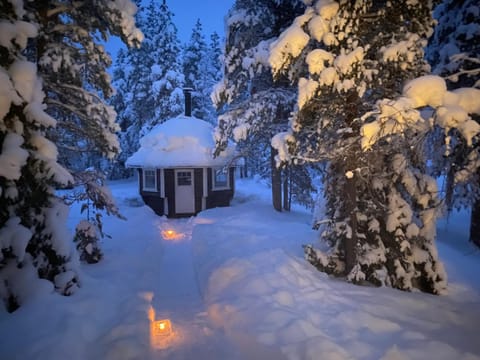 Natural landscape, Winter
