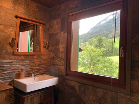 Bathroom, Mountain view