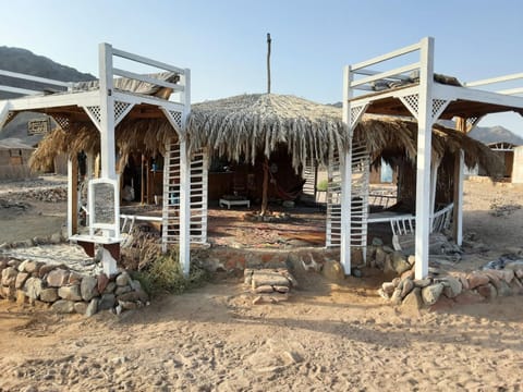 Cosmos Camp Camping /
Complejo de autocaravanas in South Sinai Governorate