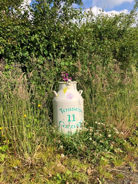 Facade/entrance, Natural landscape