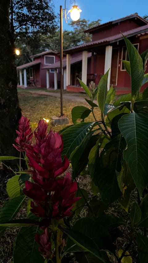 Chalés do Recanto Bed and Breakfast in State of Rio de Janeiro